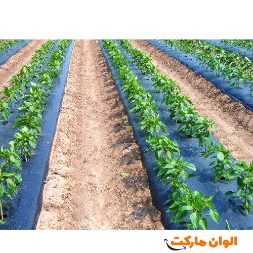 خرید-مالچ-کشاورزی-کد-g-3070-و-لیست-و-قیمت-تهران-صادرات-ارزان-