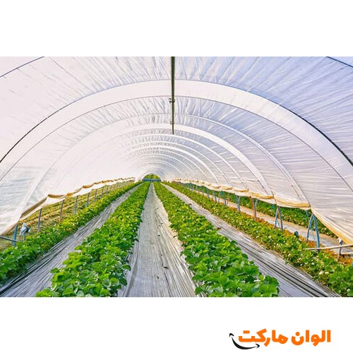 خرید-نایلون-عریض-کشاورزی-کد-g-3071-و-قیمت-و-لیست-تهران-قیمت-