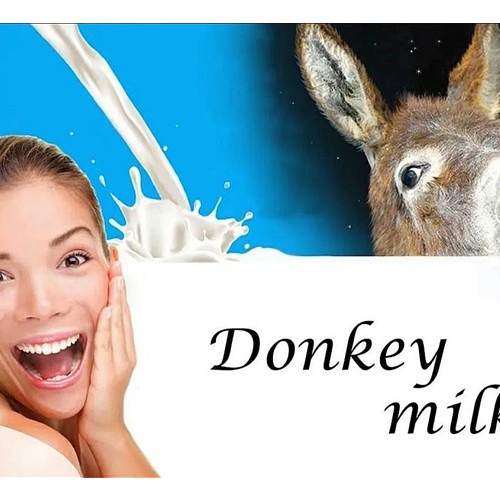 صابون-مرطوب-کننده-شیر-الاغ-donkey-milk-کد-g-1848-ارزان-صادرات-